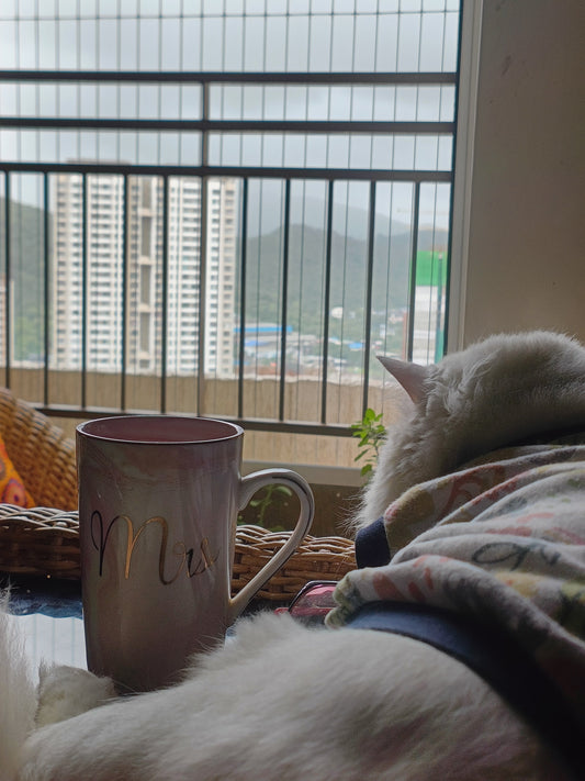 β Perfect Sunday Morning: Coffee, My Cat Jack & A Moment Just for Me πΎ