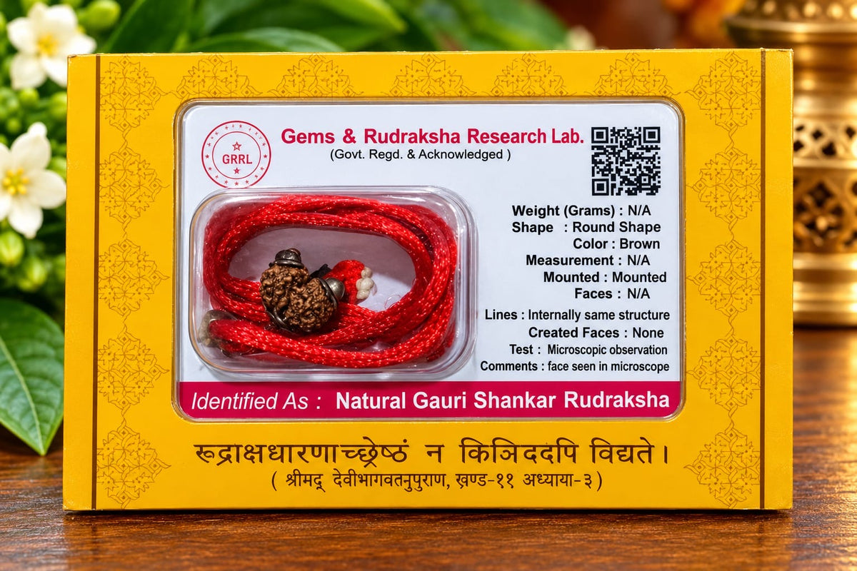 NATURAL GAURI SHANKAR RUDRAKSHA