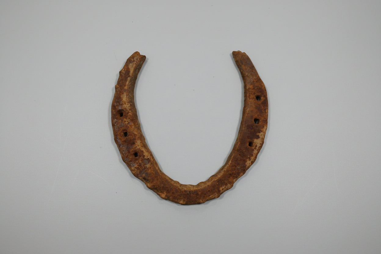 A metallic horseshoe with a rustic finish, hanging against a light background.