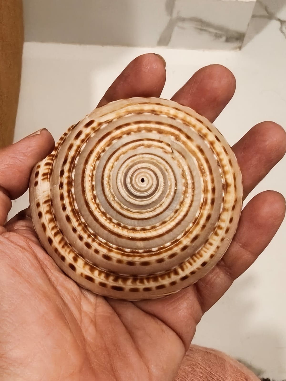 BIG VISHNU CHAKRA