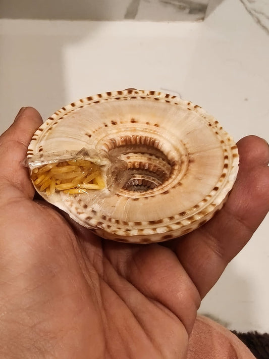 BIG VISHNU CHAKRA