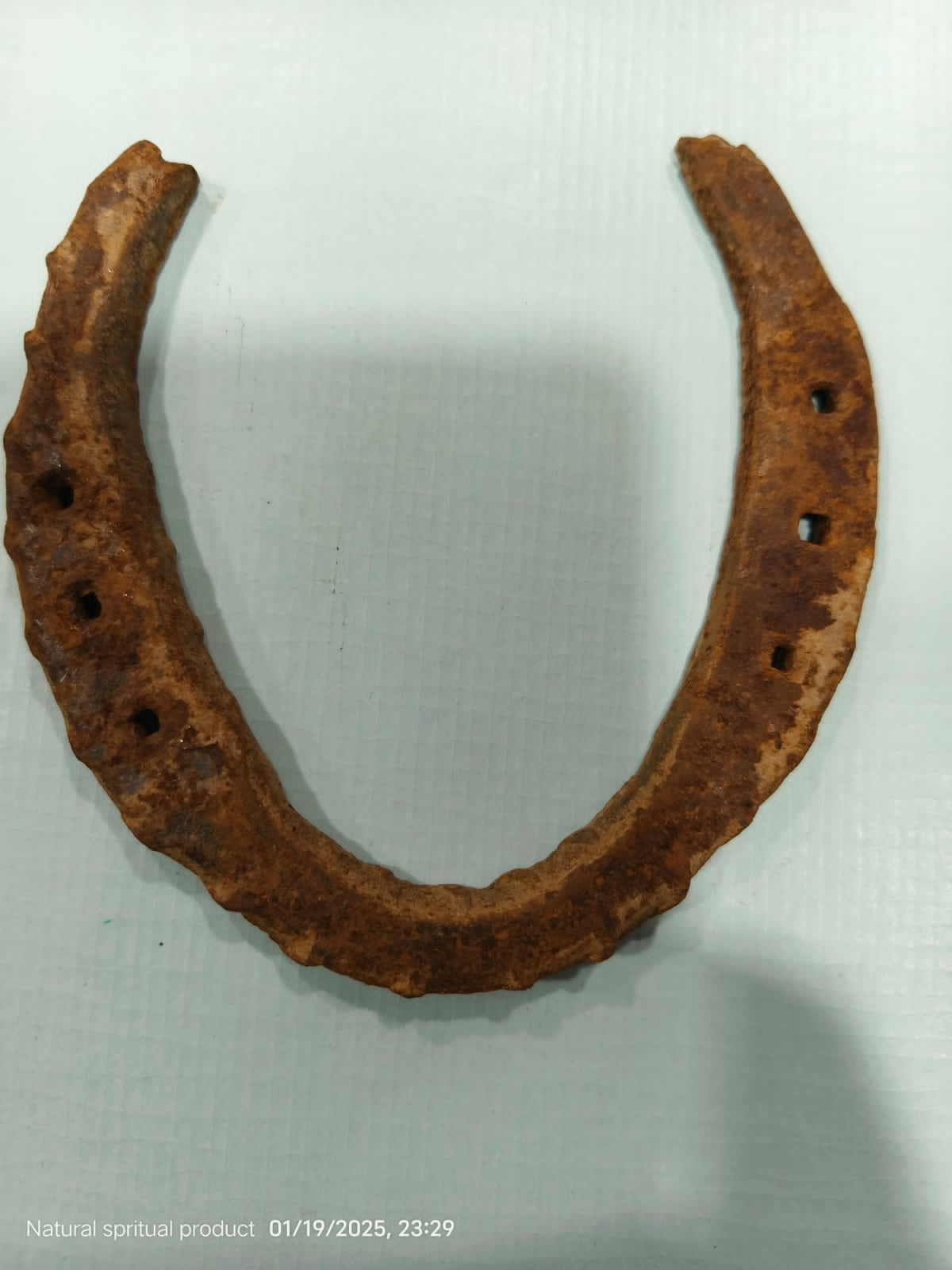 Horse Shoe