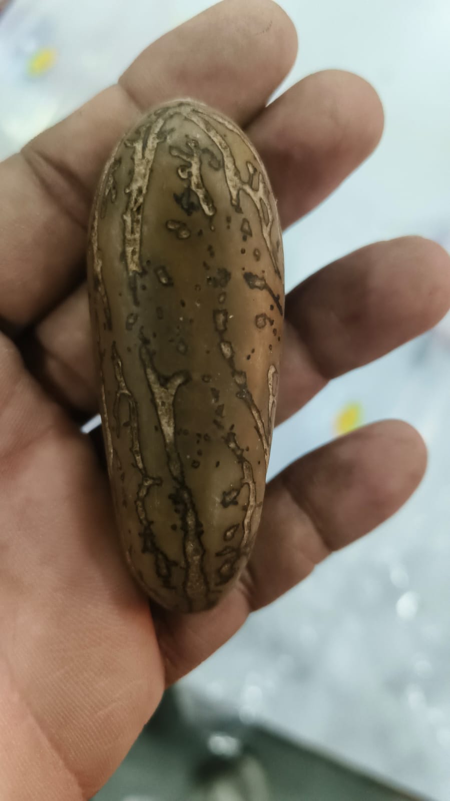 Thousand Bodhi Eye (Rare Piece) [210]