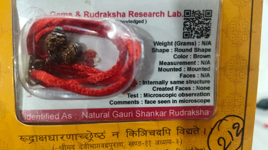 Gauri Shankar Rudraksha (Silver) [212]
