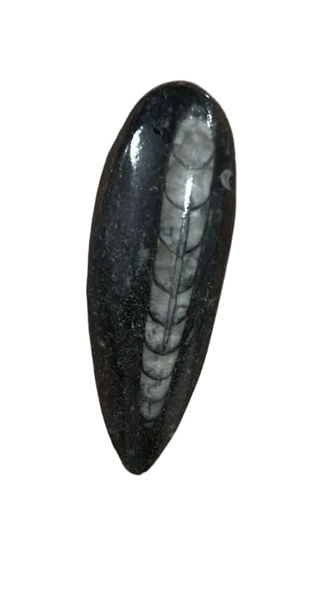 Kuber Stone [505]