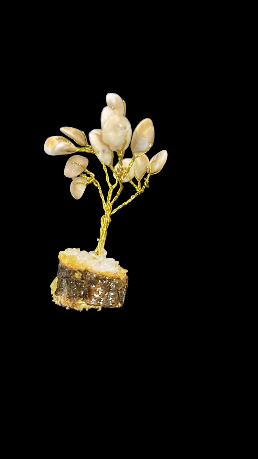 Gomti chakra mini tree [503]