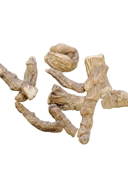 Acorus Calamus – Memory, Focus & Study Success Herb