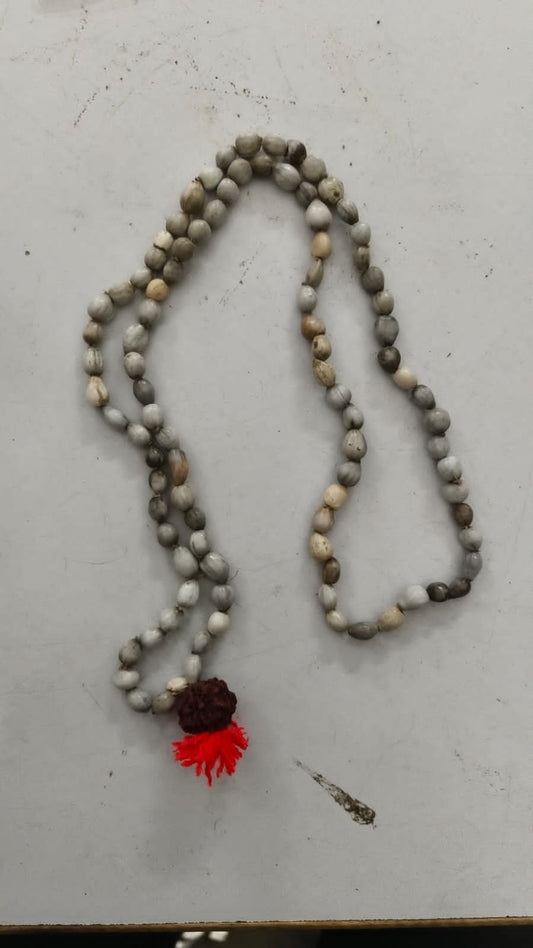 Vaijanti Mala